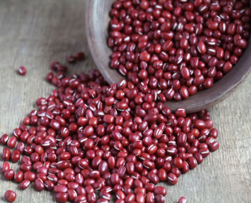 Adazuki beans ingredient used by Bites of Delight Gluten Free Lebanon